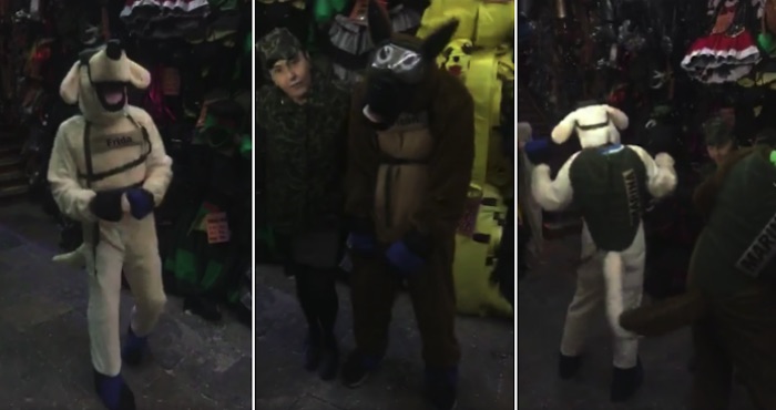 Video: Tienda de Puebla pone a la venta disfraces de ‘Frida’, la perrita rescatista