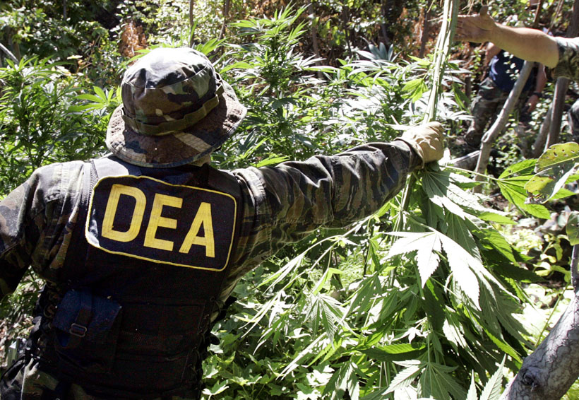 Crece producción de heroína en México y consumo de cocaína en EU: DEA | El Imparcial de Oaxaca