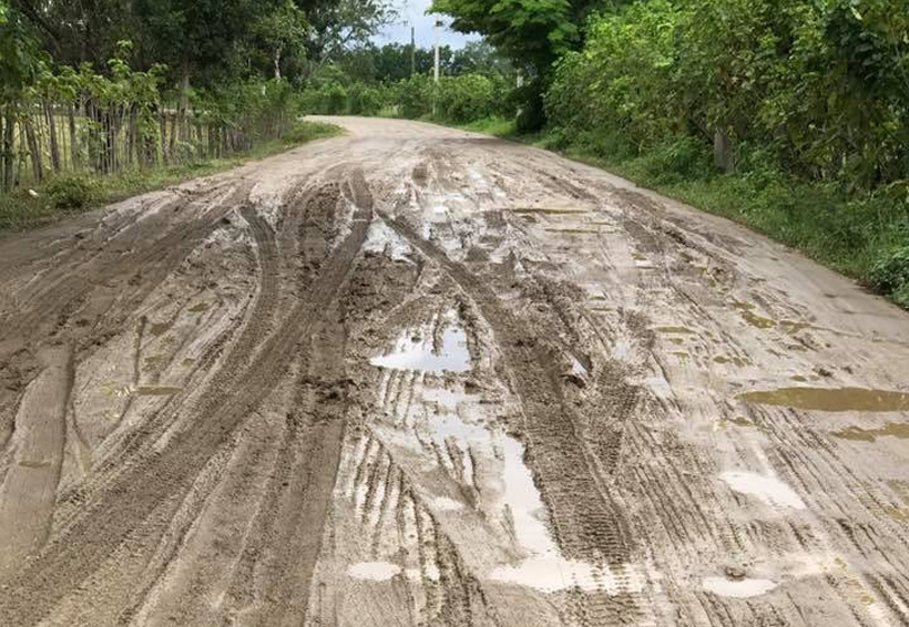 Claman productores de la Costa de Oaxaca rehabilitación de carretera | El Imparcial de Oaxaca