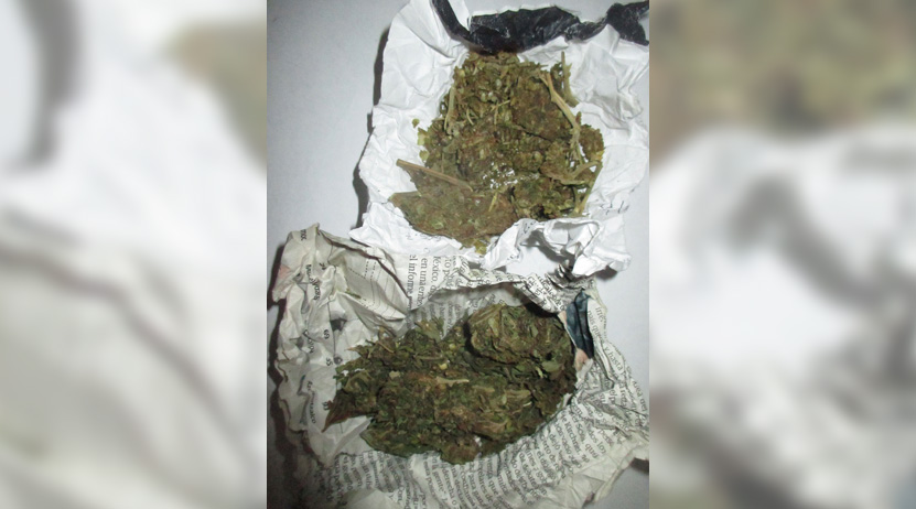 Apresan a pareja con mariguana en Oaxaca