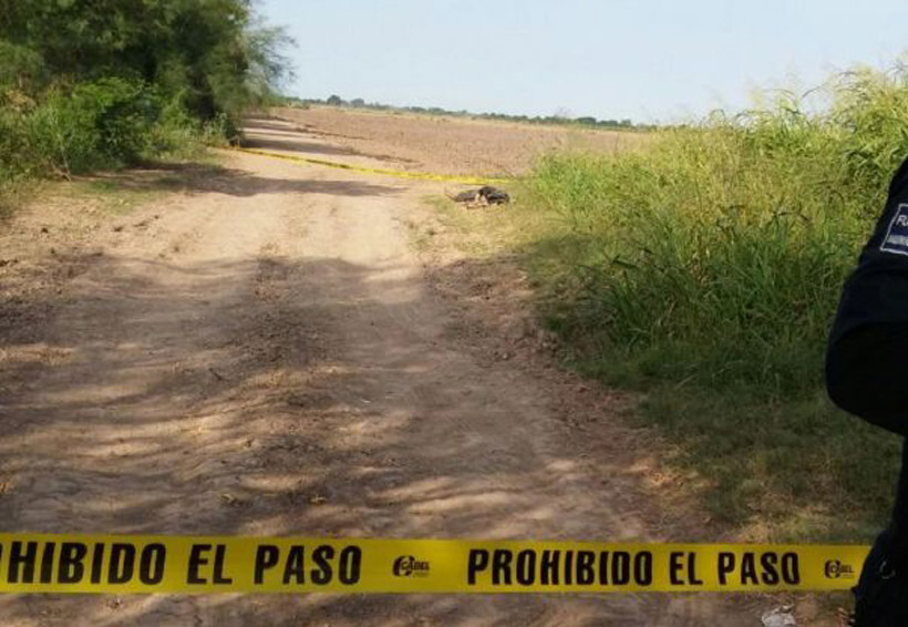Lo abandonan envuelto en un hule | El Imparcial de Oaxaca Lo abandonan envuelto en un hule | El Imparcial de Oaxaca