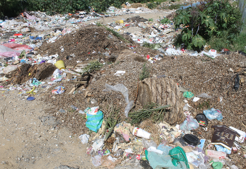 Urge una limpieza en terrenos y camellones de Oaxaca | El Imparcial de Oaxaca