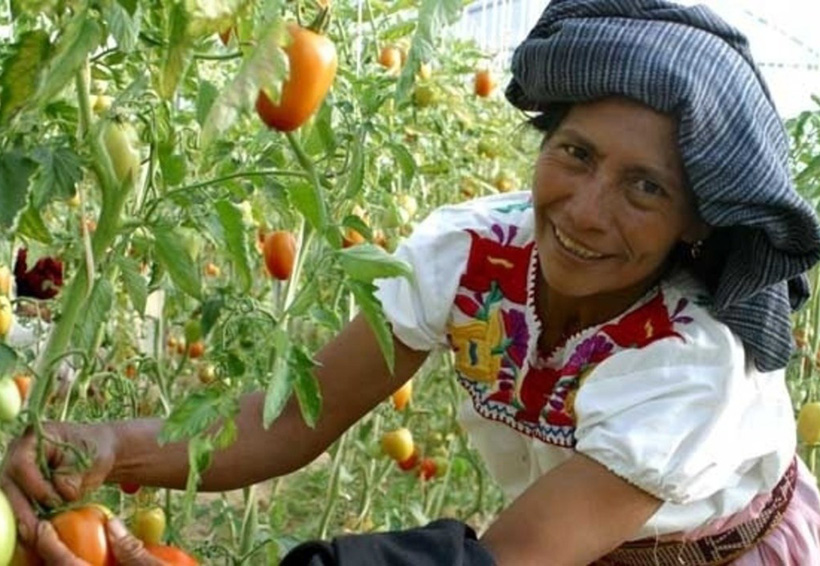 En Oaxaca, prioritario integrar a las mujeres en la producción | El Imparcial de Oaxaca