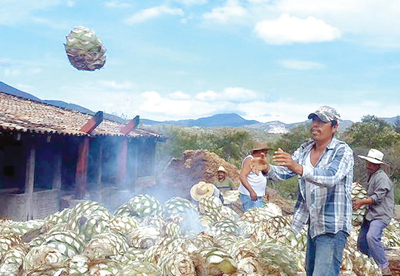 Inicia Segunda Feria del Mezcal Minero en Oaxaca | El Imparcial de Oaxaca