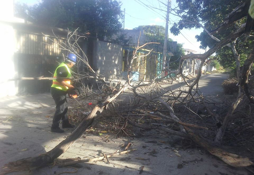 Fuertes rachas de viento  dejan daños en Santo Domingo Tehuantepec, Oaxaca