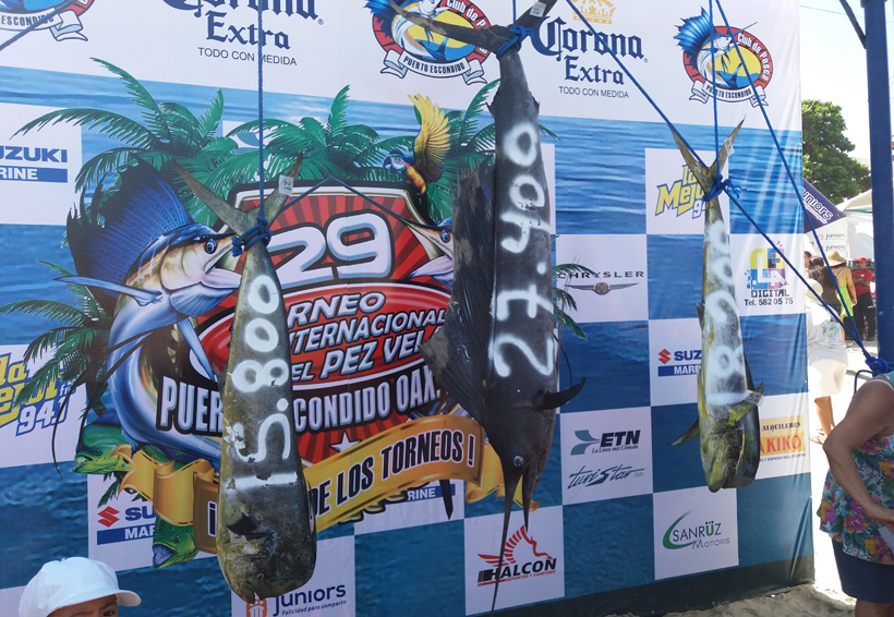 Gran éxito en Puerto Escondido por el Torneo de Pez Vela