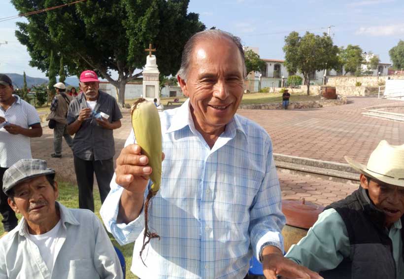 Presentan en la Mixteca de Oaxaca a ‘Hojero’, el maíz criollo