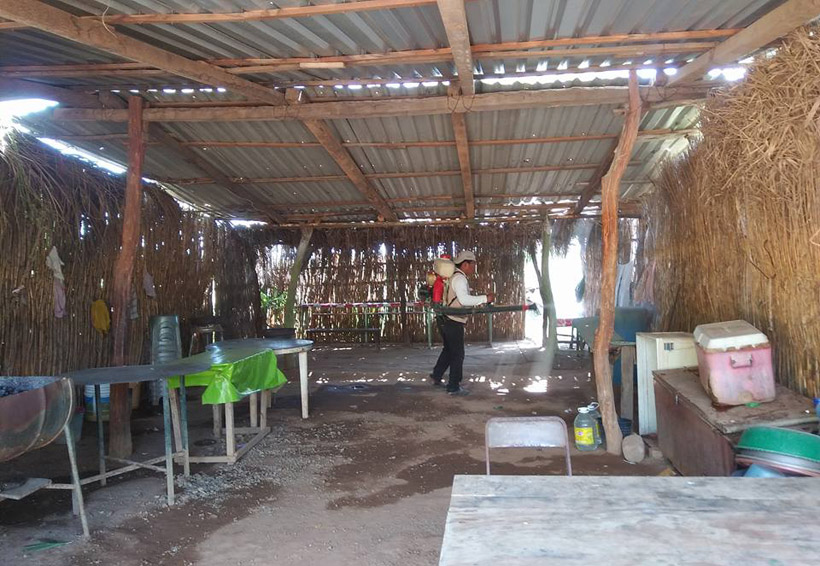 Combaten al mosco transmisor del dengue en Santo Domingo Tehuantepec, Oaxaca