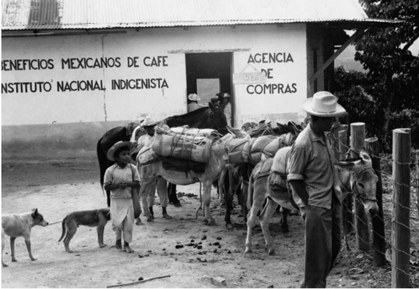 Oaxaca y su historia, clave para el futuro | El Imparcial de Oaxaca