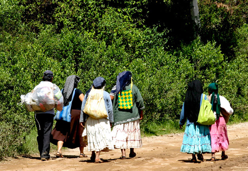 Migración, la huida por la supervivencia en Oaxaca | El Imparcial de Oaxaca