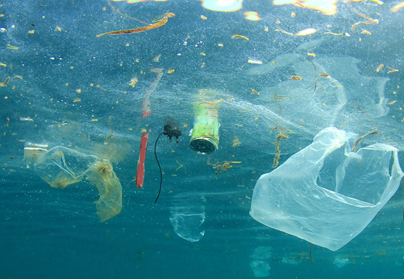 Advierten sobre riesgos de acumulación de basura en oceános | El Imparcial de Oaxaca