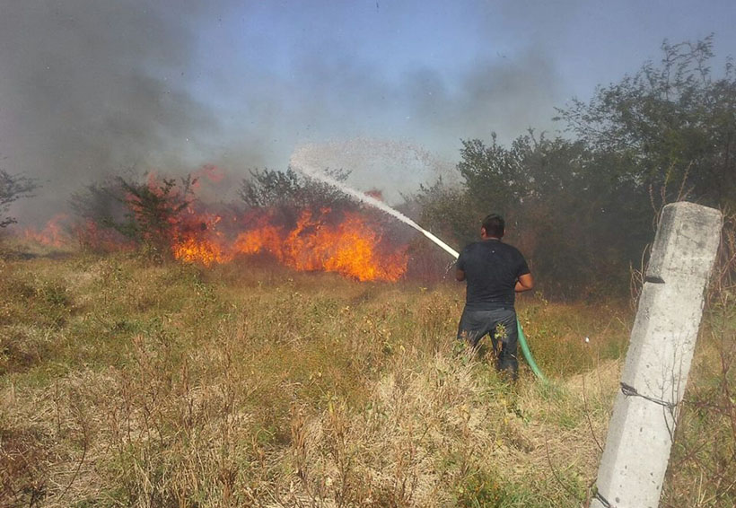 Se activan los incendios en pastizales en el Istmo | El Imparcial de Oaxaca