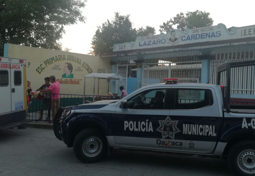 Pánico en primaria de Pochutla por ataque de enjambre de abejas | El Imparcial de Oaxaca
