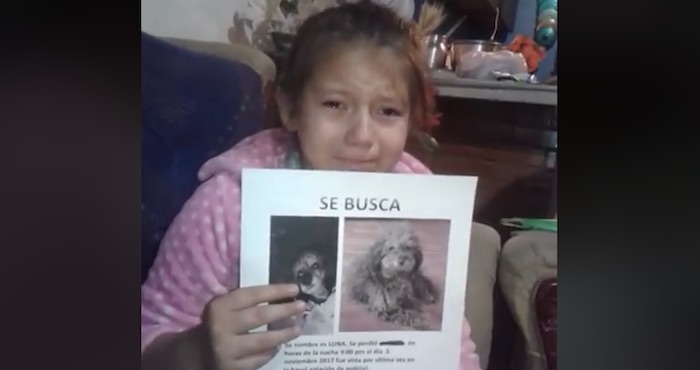 Una niña llora desconsolada y pide ayuda para localizar a su mascota perdida | El Imparcial de Oaxaca