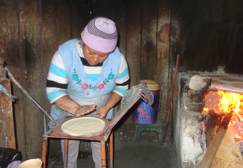 En Tlaxiaco, Oaxaca FAO reconoce denigrada labor de  palmeadoras