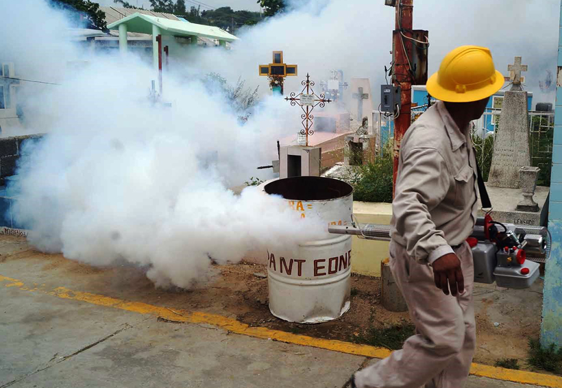 Fumigan en el Istmo para combatir al mosco trasmisor de dengue | El Imparcial de Oaxaca