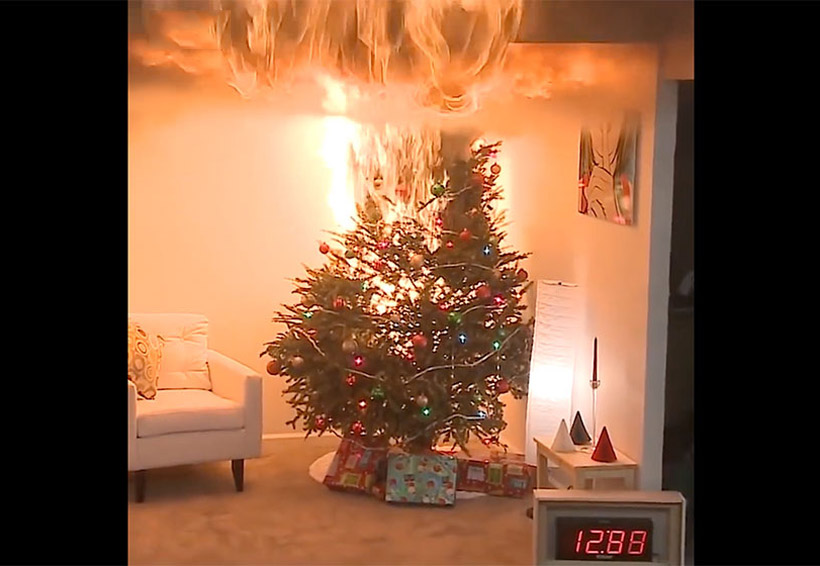 Lo peligroso de la Navidad, en 30 segundos arde por completo un pino navideño seco | El Imparcial de Oaxaca