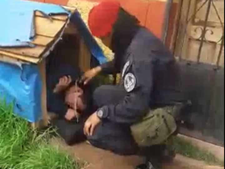 Video: Borracho roba casa de perro para dormir | El Imparcial de Oaxaca