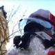 Video: Santa justiciero, persigue y atrapa a hombre que atropella a peatón