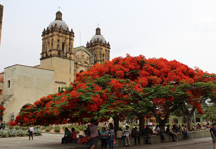 Oaxaca y Monte Albán cumplen 30 años de la declaratoria como patrimonio cultural de la humanidad