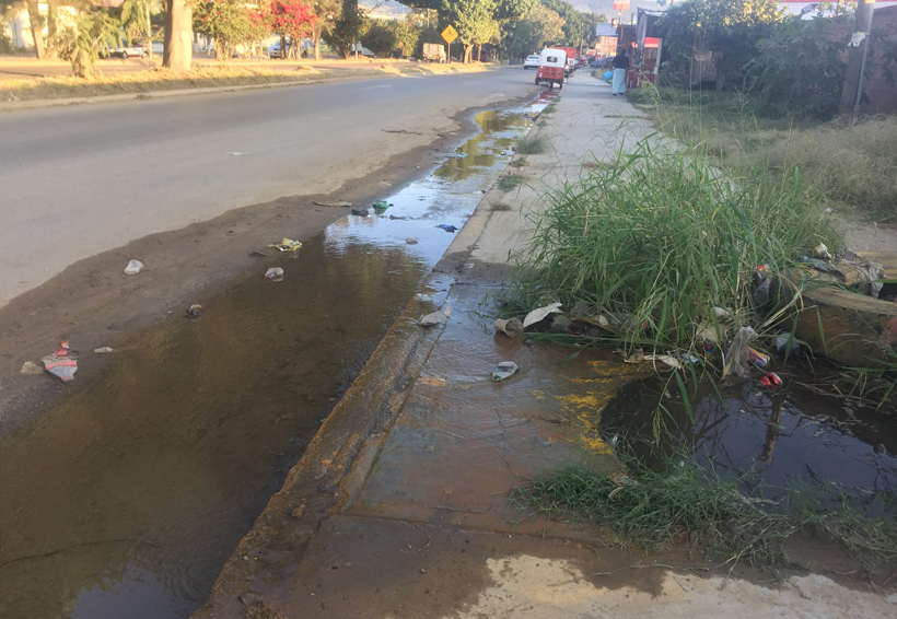 Reportan vecinos que SAPAO hace caso omiso a fuga de agua sobre Símbolos Patrios, Oaxaca | El Imparcial de Oaxaca