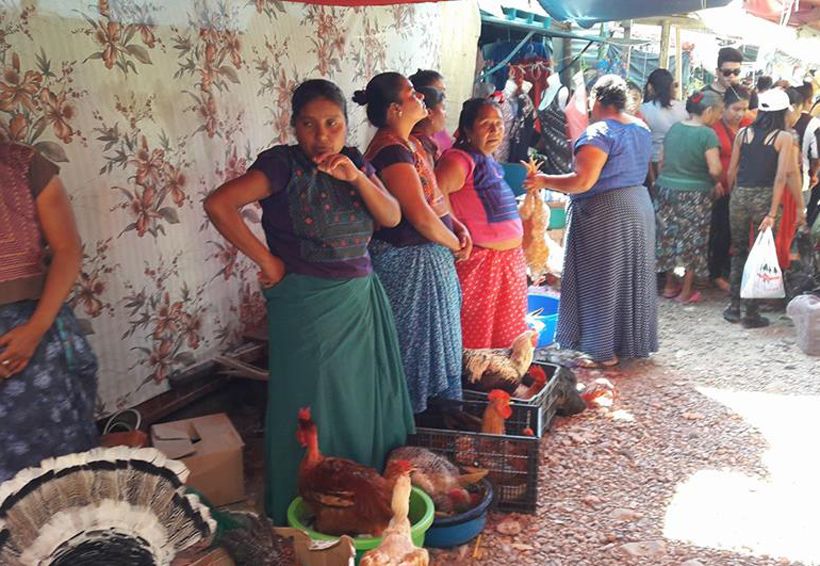 En el Istmo aumenta el costo del pavo para la cena de fin de año | El Imparcial de Oaxaca