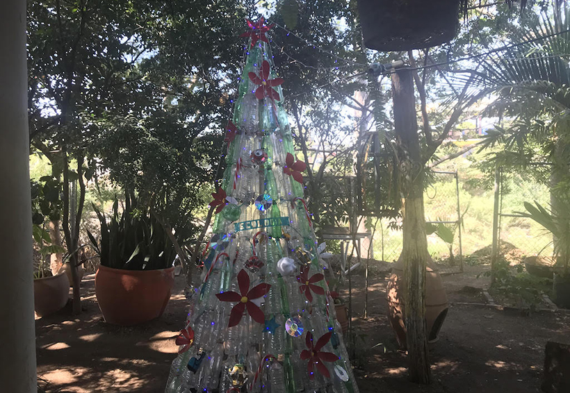 Juchitán, sin árbol monumental de Navidad | El Imparcial de Oaxaca