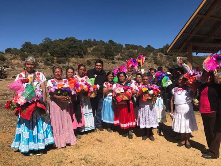 Impulsa la producción de Mezcal Artesanal en Oaxaca | El Imparcial de Oaxaca