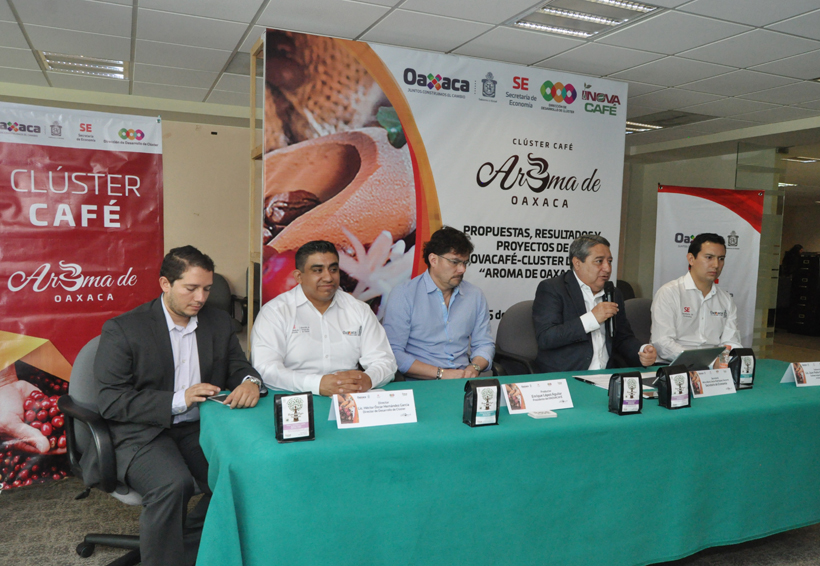 Impulsan acciones para detonar  producción y comercialización del café en Oaxaca | El Imparcial de Oaxaca
