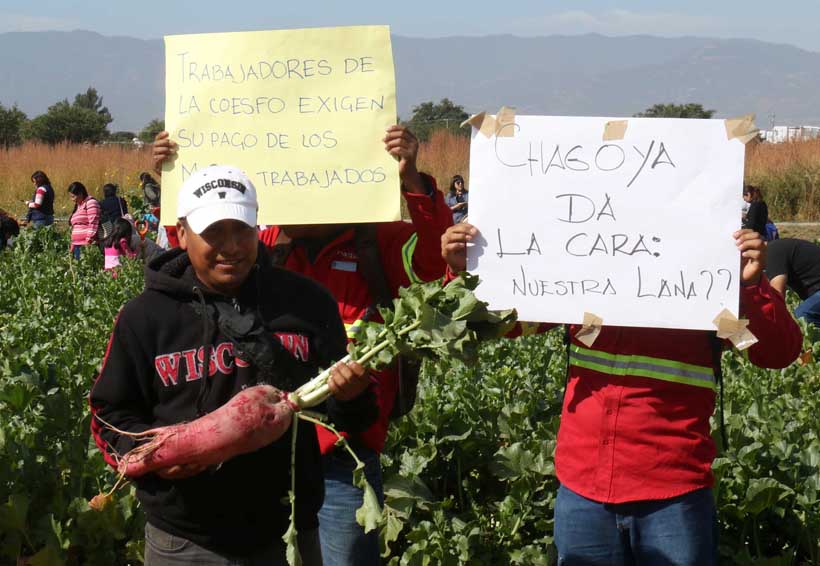Exigen pago de salarios; hoy “Noche de Rábanos” | El Imparcial de Oaxaca