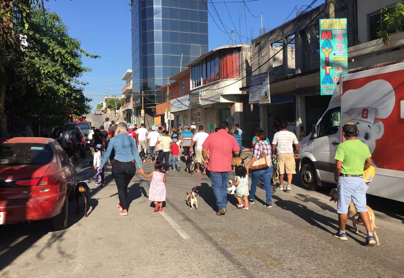 Realizan caminata con mascotas  en Pinotepa Nacional, Oaxaca | El Imparcial de Oaxaca
