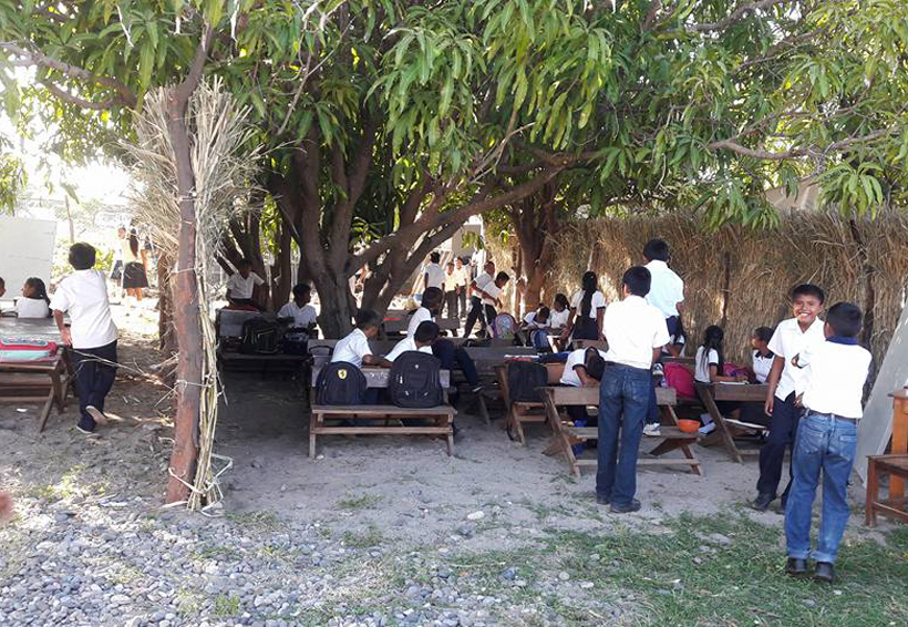 Reciben clases en aulas  de palma niños de San Mateo del Mar, Oaxaca