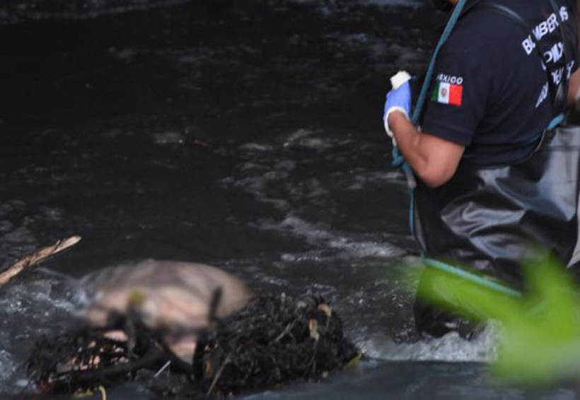 Encuentran  cuerpo flotando en aguas negras
