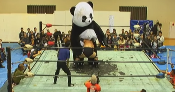 Un “oso panda” se sube al cuadrilátero de lucha libre para combatir a sus oponentes | El Imparcial de Oaxaca
