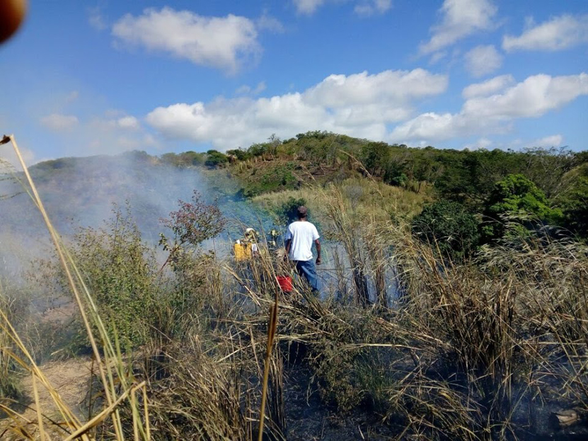 Incendio en Puerto Escondido, Oaxaca | El Imparcial de Oaxaca