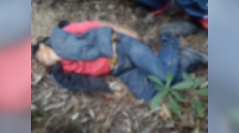 Cayó al barranco al buscar a sus borregos en Tlaxiaco, Oaxaca | El Imparcial de Oaxaca
