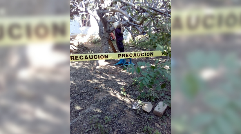 Colgaba de un  árbol en Colotepec | El Imparcial de Oaxaca