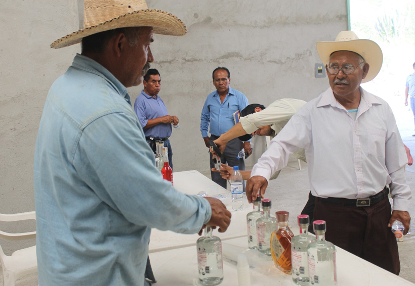 Mezcaleros de la mixteca de Oaxaca, sin apoyos para comercialización | El Imparcial de Oaxaca