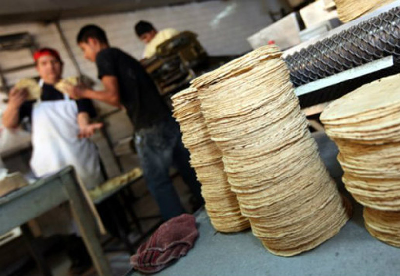 Costo de la tortilla podría llegar hasta 17 pesos por kilo | El Imparcial de Oaxaca