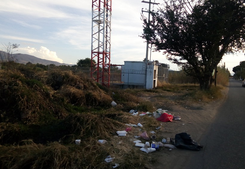 Piden no tirar basura cerca del aeropuerto en Oaxaca | El Imparcial de Oaxaca