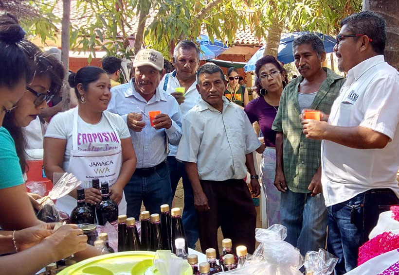 Festival de la Jamaica, detona economía a los productores de la Costa de Oaxaca