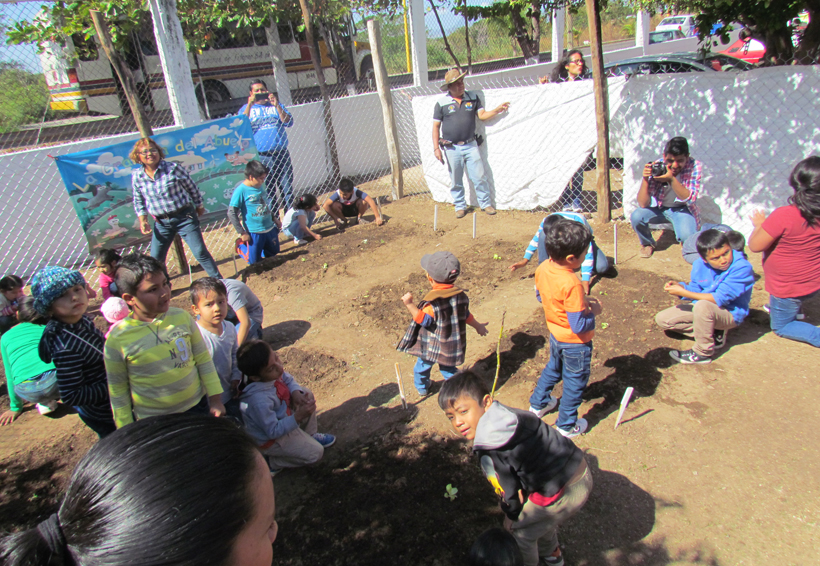 Niños de Juchitán aprenden a cultivar  en huertos escolares