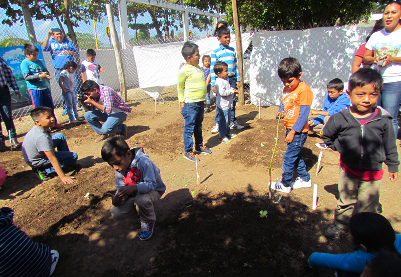Niños de Juchitán aprenden a cultivar  en huertos escolares