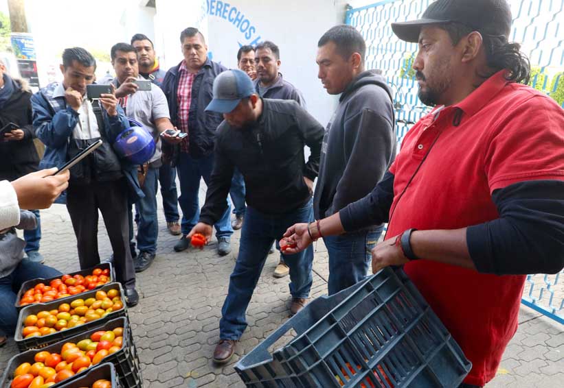 Plantean en Oaxaca censo de vendedores  de tomate