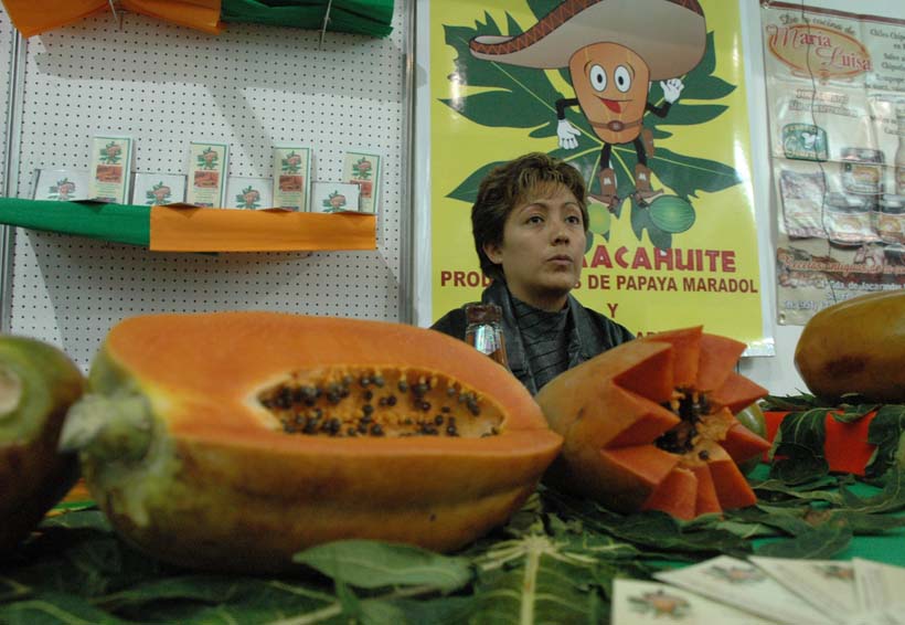 Productores de papaya; sin apoyos del gobierno de Oaxaca