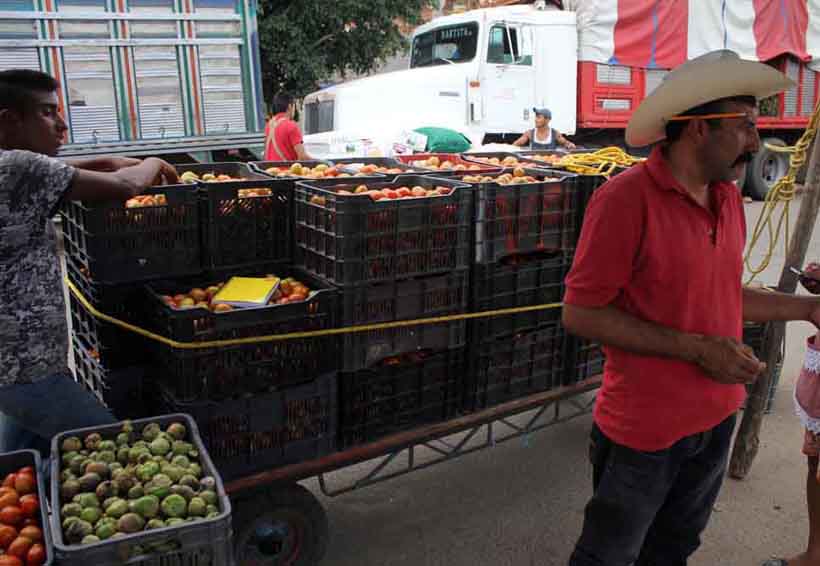 Regresan tomateros  a playón del río Atoyac en Oaxaca