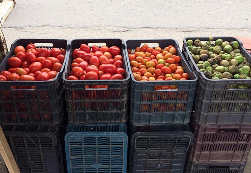 Se eleva precio del  tomate en Oaxaca por el frío