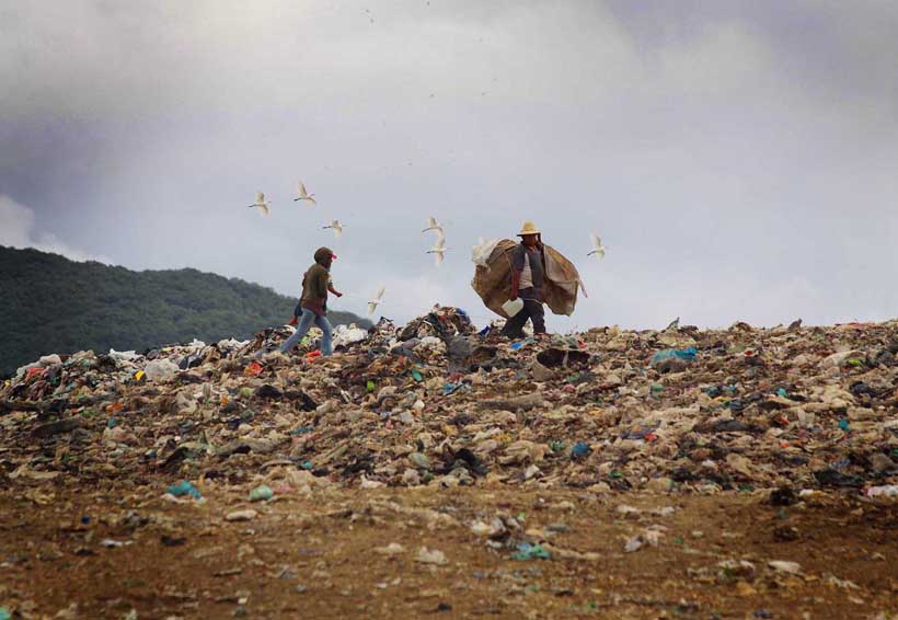 Trabajadores denuncian  falta de pago en basurero | El Imparcial de Oaxaca