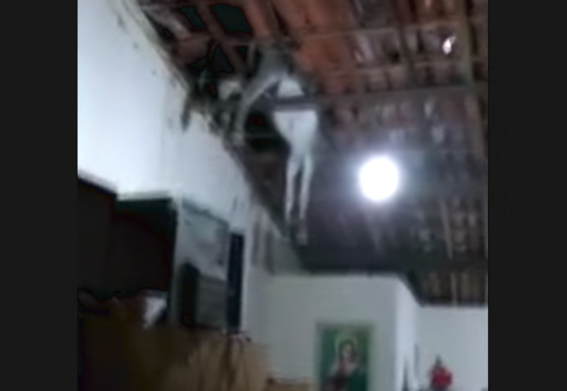 Video: Burro que caminaba sobre casa cae y queda colgado en la cocina | El Imparcial de Oaxaca