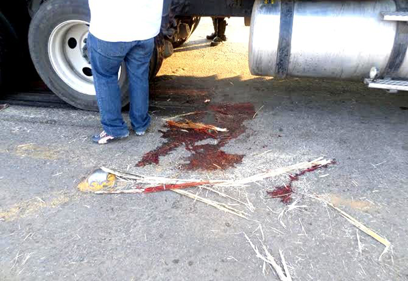 Muere mujer atropellada por un tráiler | El Imparcial de Oaxaca